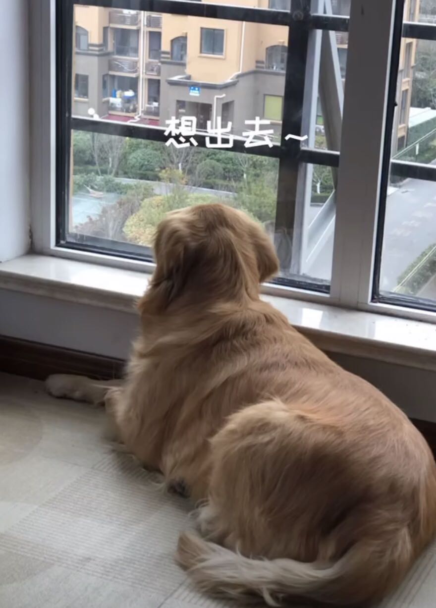 复工前的十大常识,企业复工口罩必备吗