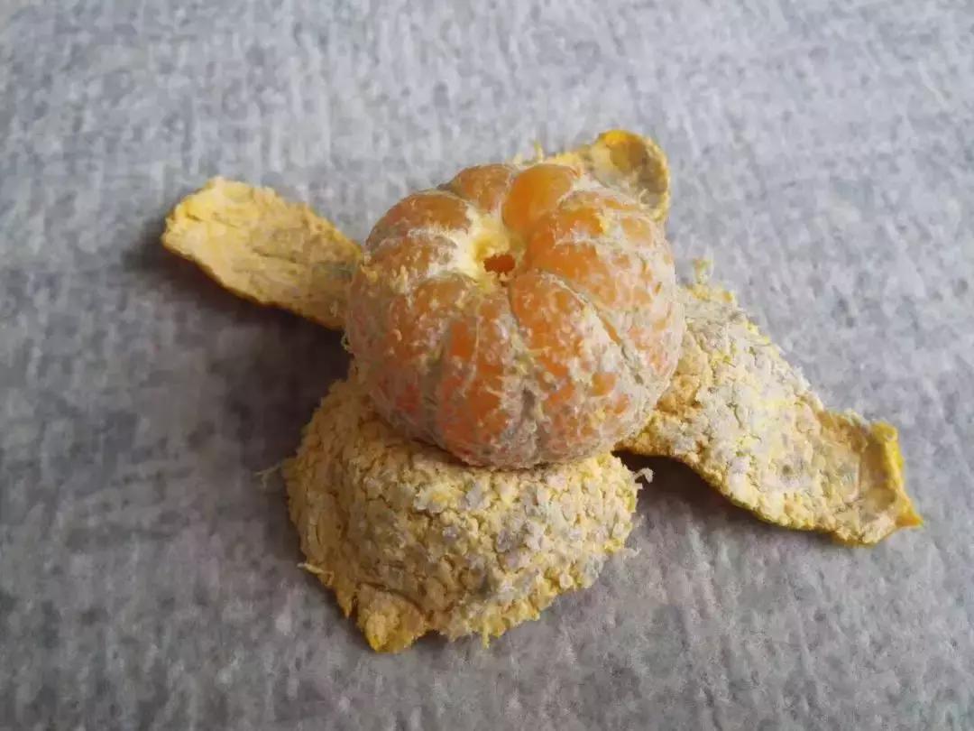 柑橘知识科普,柑桔知识