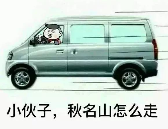 东莞本地人开豪车,东莞人关注什么