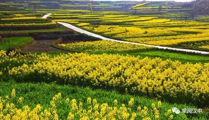 汉中南郑观花最佳路线,全国1-12月赏花旅游线路