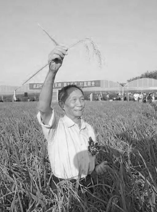 送别袁隆平群众高呼一路走好,袁隆平院士群众送别