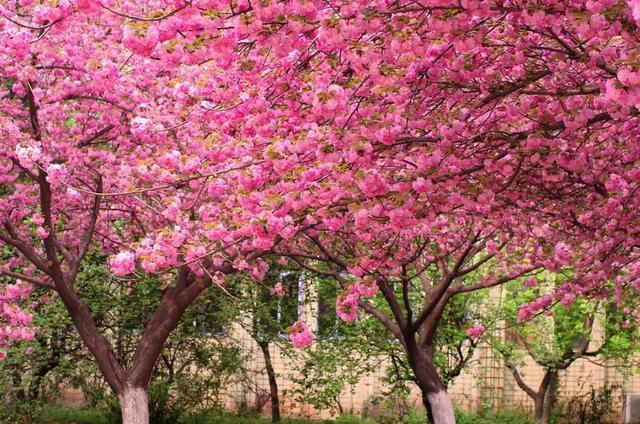 等疫情结束了一定要去西安看看,等疫情结束了一定要去趟西安