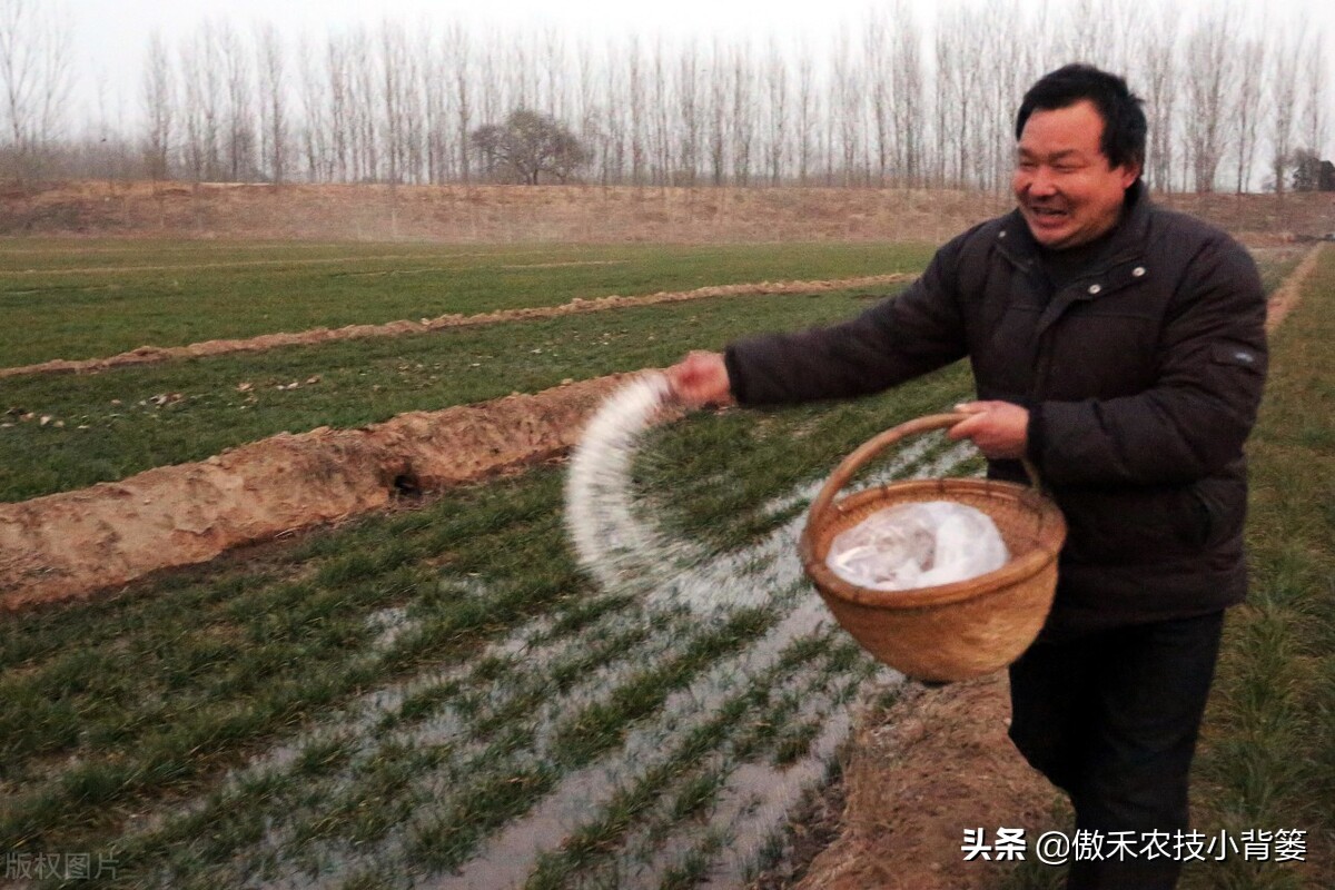 如何区分尿素氯化铵和硫酸铵,如何区分硝酸铵硫酸铵和尿素