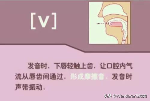 英语48个音标发音附详细图解,音标发音48个正确发音讲解视频