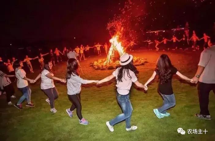 200亩，游客年超30万，这个用枯树建成的农庄牛在哪？