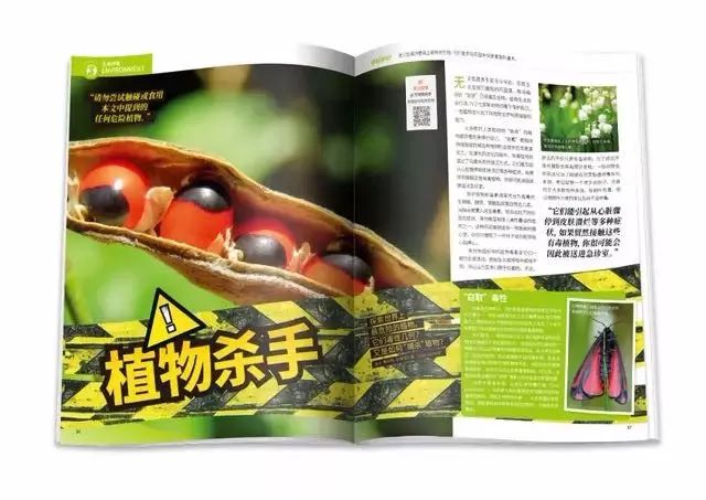 班主任推荐的书目,班主任方面的杂志推荐