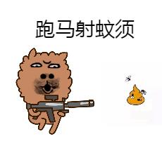 广东粤语什么意思啊,老广东才懂的粤语梗