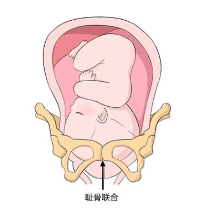 孕晚期恐慌怎么办,孕晚期痛到怀疑人生
