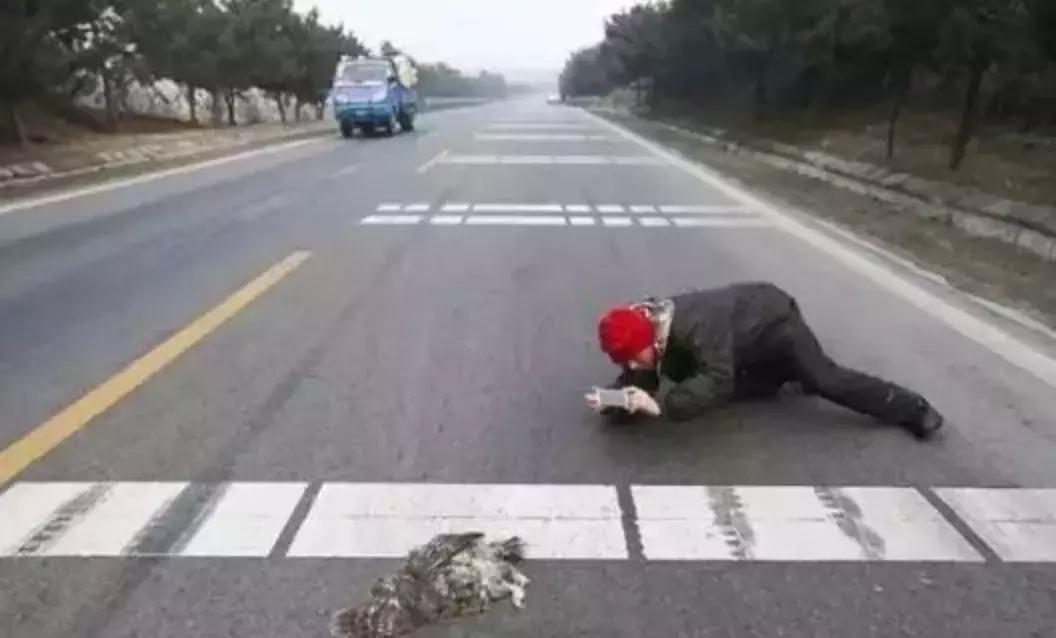 被囚34年取精，被迫亲手杀死爱子，最后只能挣扎着死去……