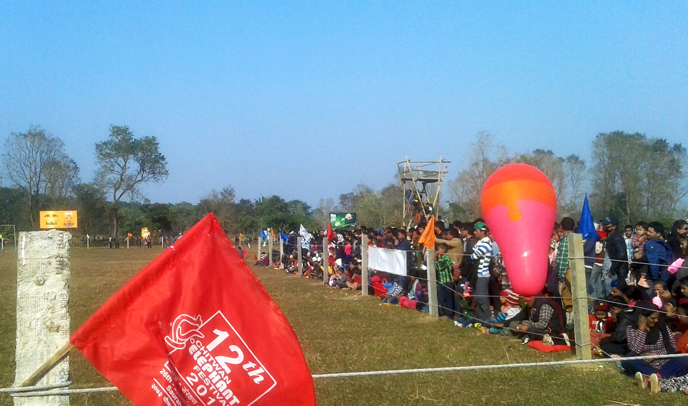 世界杯大象足球,大象足球比赛