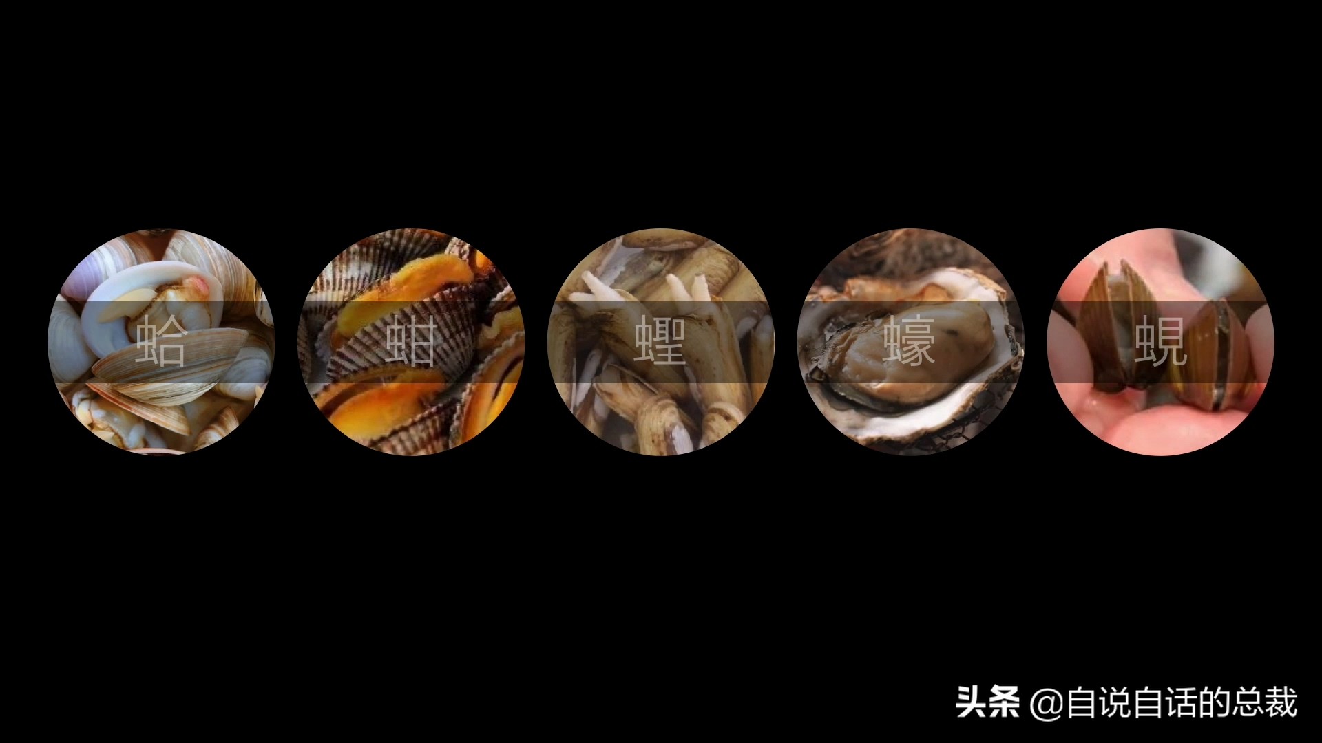 蛤、蚶、蛏、蚝、蚬有什么区别？这是一群美味海怪与人类的故事