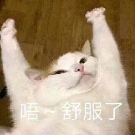 上课困了有没有什么好办法,上课困成狗怎么办