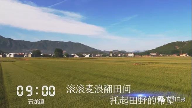 林州市今天晚上发生的事,一天24小时正在发生什么