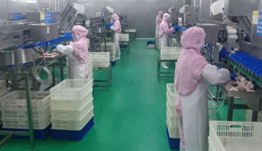 福州发展大产业培育大集群,福州发展潜力巨大板块