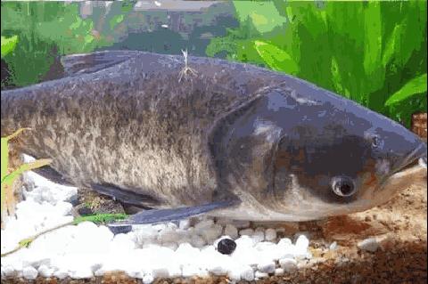 广东森林海温泉酒店攻略,广东云天海原始森林温泉度假村