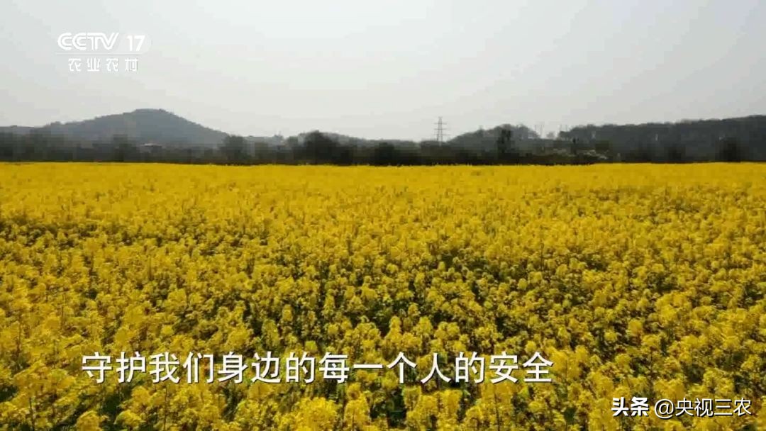 90后的湖北村支书,湖北最硬核村支书