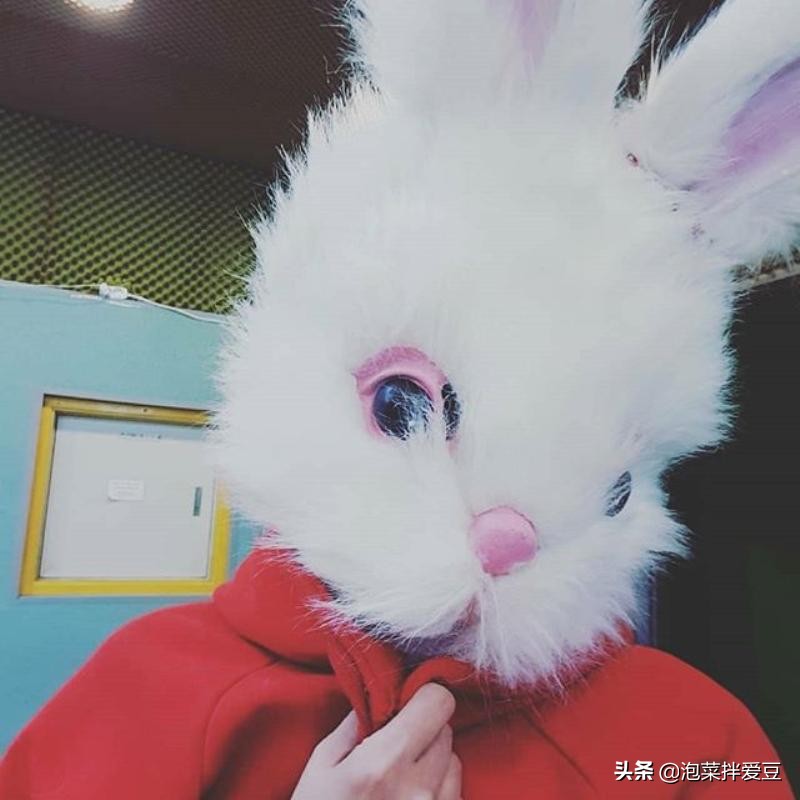 人气女团成员被换人,韩女团成员年龄差