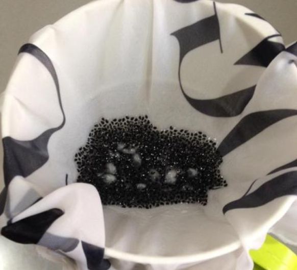 火龙果水培盆栽的养殖方法,火龙果的盆栽技术关注事项