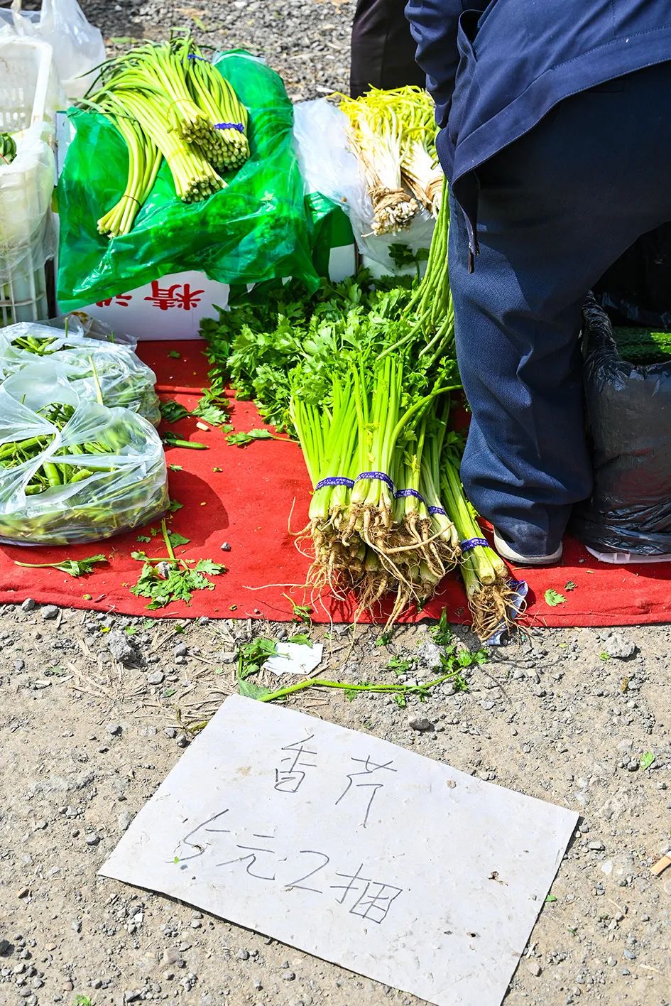 北京京郊大集地理位置,今天京郊哪有大集