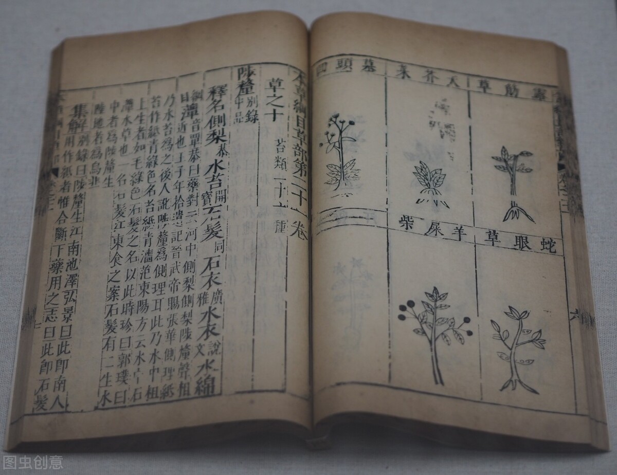 男子易泄不补肾固精,男人肝胆湿热下注怎样调理