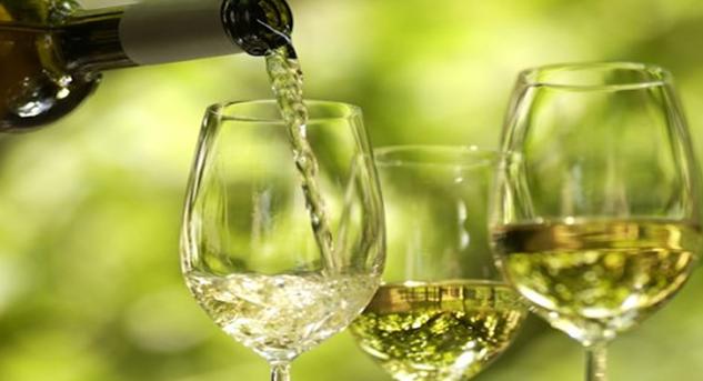 游四方走八荒,游四方全部视频