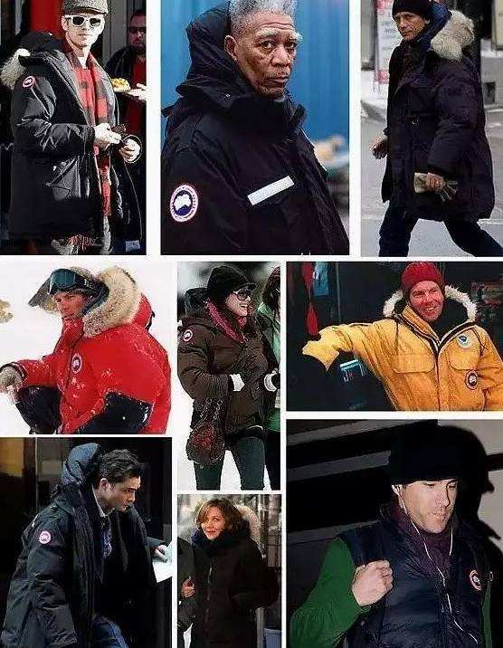 加拿大鹅第二季度财报股价大跌,加拿大鹅股票价格暴跌原因