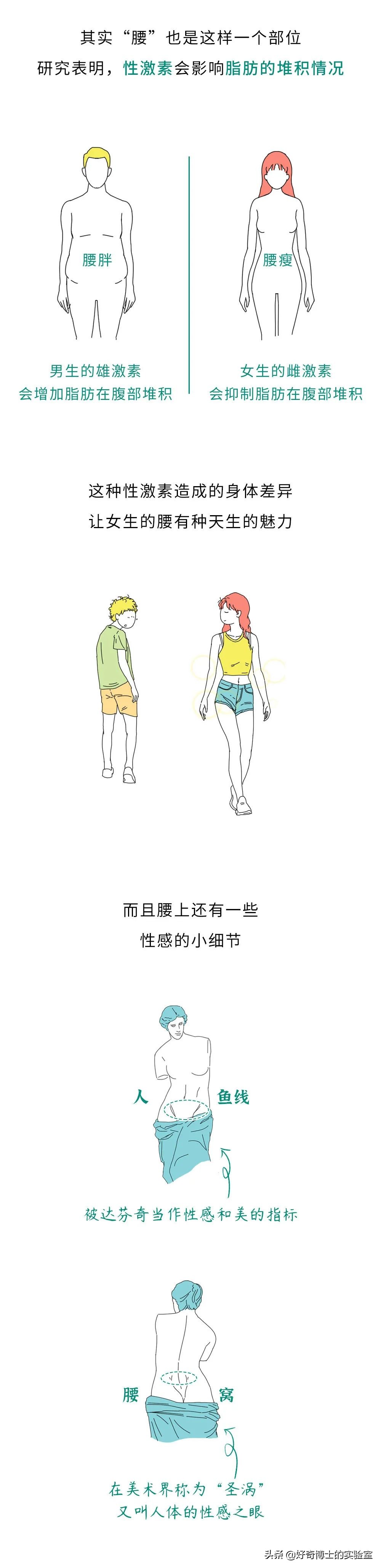 女生的腰为什么不能碰？（男生禁入）