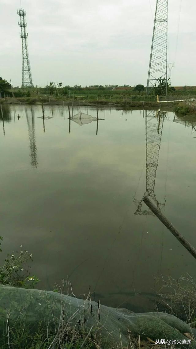 养殖水体重金属超标,养殖污水重金属超标处理方法