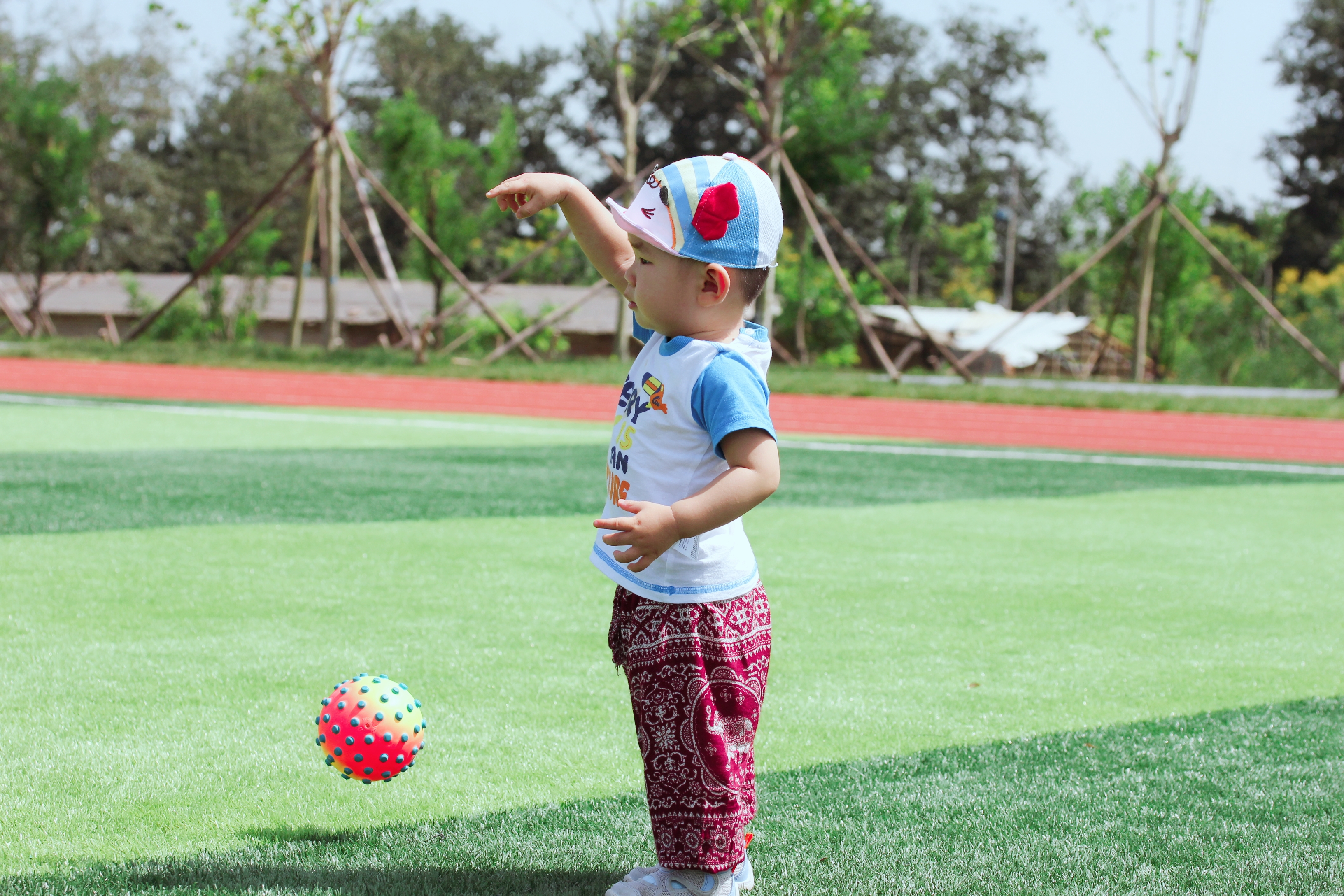 很壮观的花海,北京超大绝美花海在哪儿