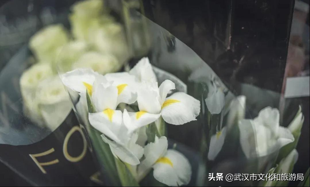 武汉私藏浪漫,私藏浪漫攻略