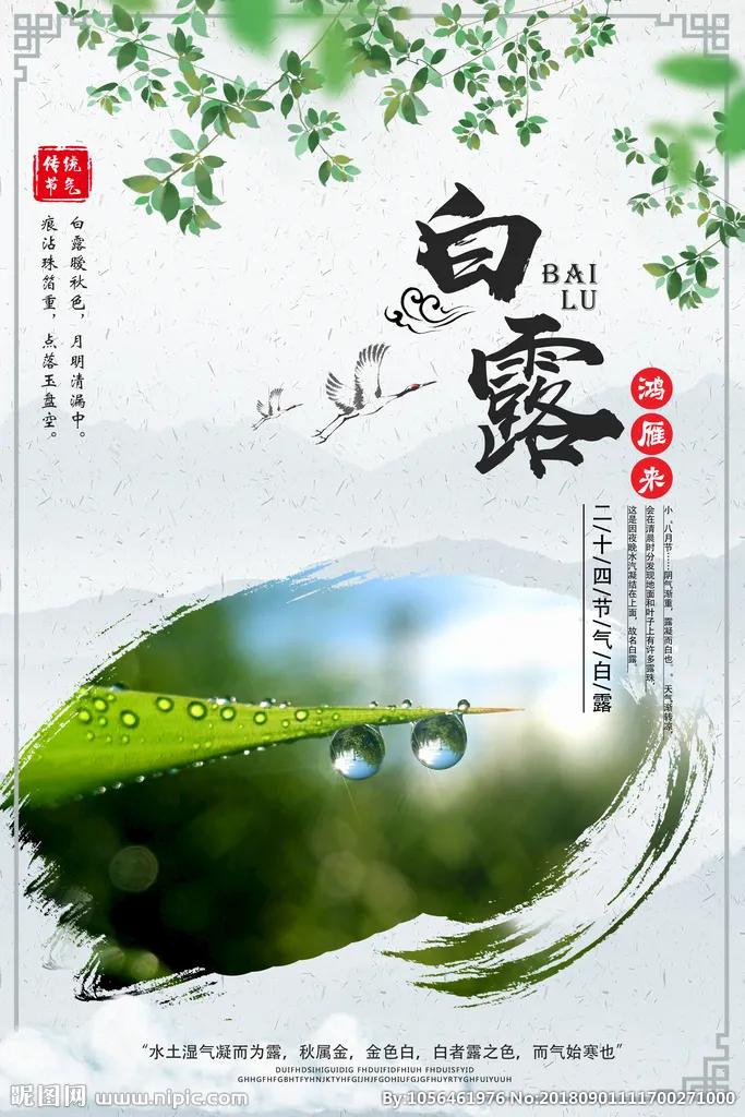 「节气变换」今日白露：露从今夜白，月是故乡明
