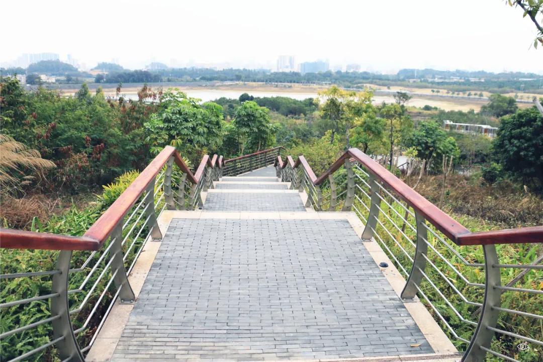 深圳哪个地方有玻璃桥,深圳玻璃桥免费开放吗