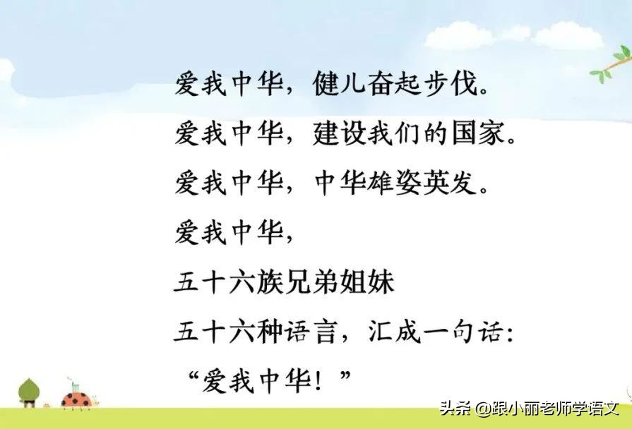 大青树下的小学重点知识点,大青树下的小学重点知识梳理