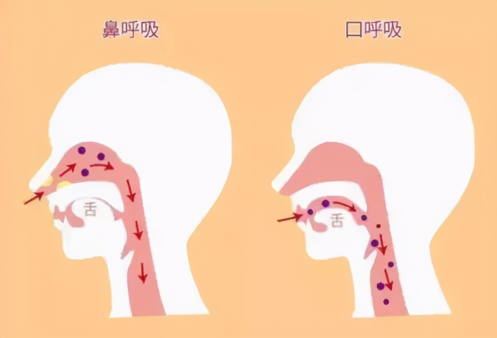 儿童换牙太晚,孩子过早换牙如何干预