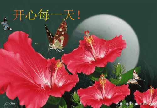 早上好最新祝福语动态表情图片,早上好问候语祝福短句带表情