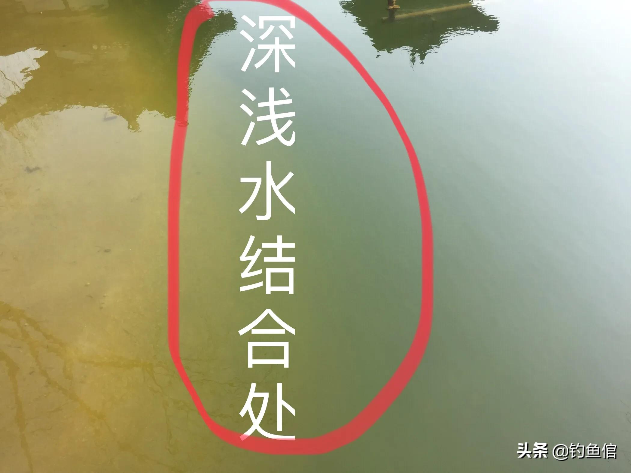 冬天野钓鱼不开口怎么办最有效,冬季鱼不开口的解决方法怎么配料