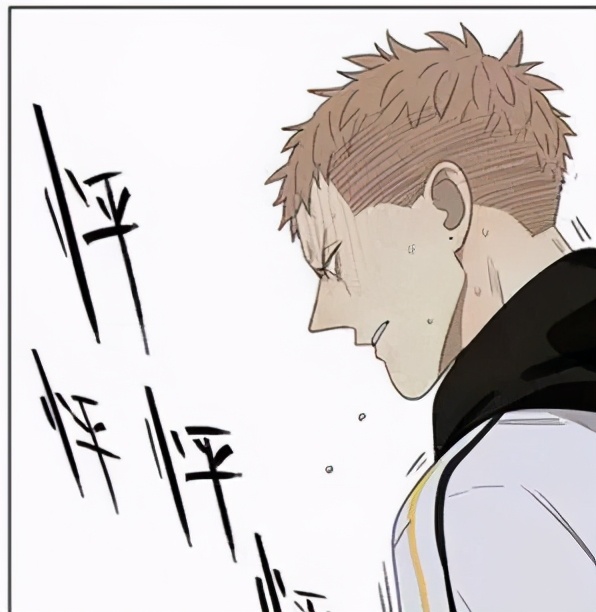 中国第一例肺移植病人,哪个医院能肺移植