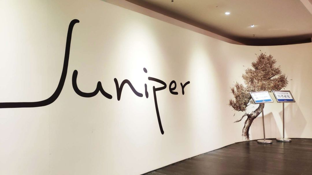 带你到工厂选家具,24小时放题