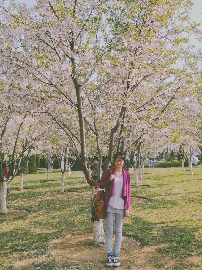 大连回到20年前,大连回到了故乡烟台