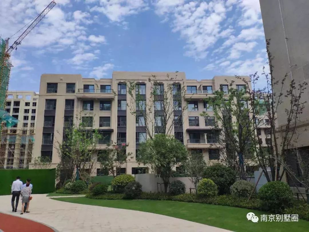南京最难购房地段,南京最难抢的房子
