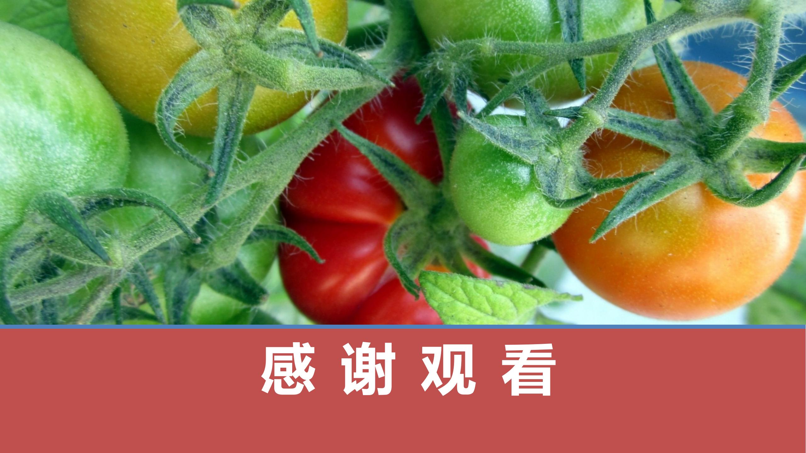 治疗隐疹的经方,中医治疗药疹