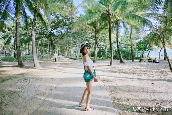 三亚吃住行,三亚自由行海边住宿攻略