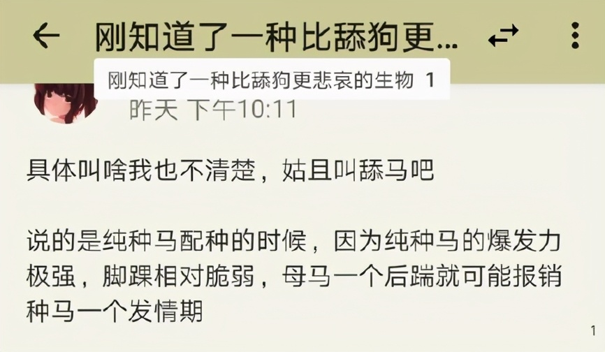 每天上线大喊“您配马？”，这群人快把游戏给玩坏了