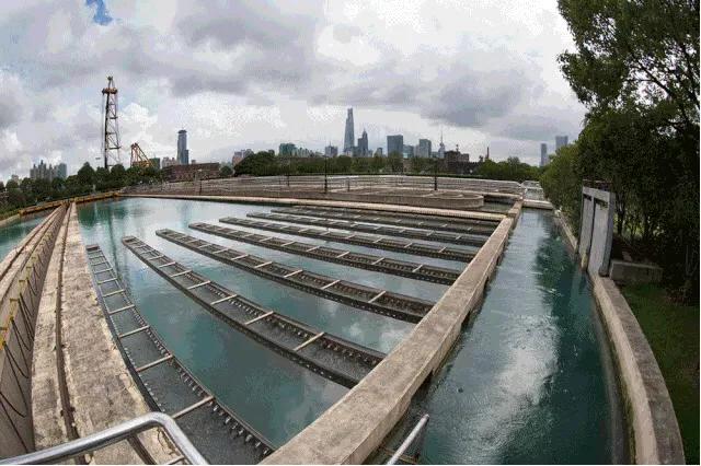 还没出上海，朋友却以为我出了趟国 ！