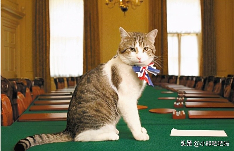 你不知道的国家冷知识德国,你不知道的国家冷知识希腊