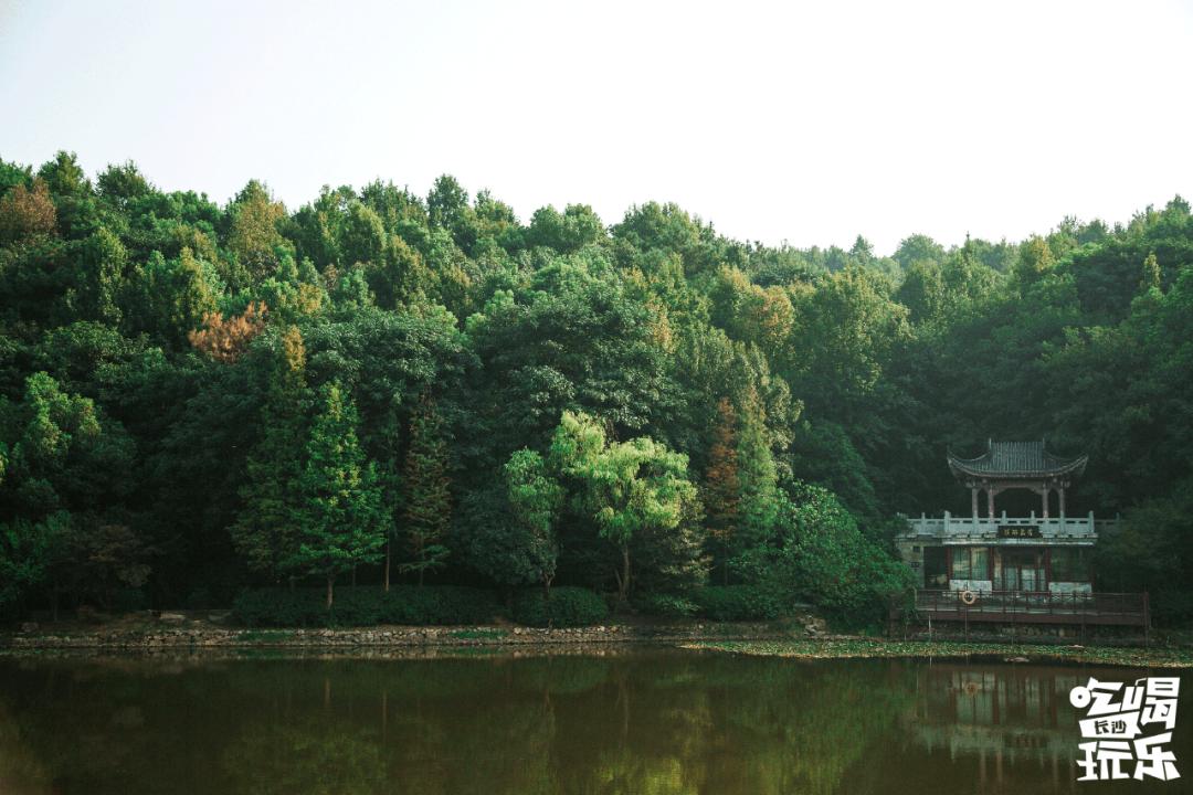 长沙放空自己去哪里,五一长沙人去哪儿玩推荐