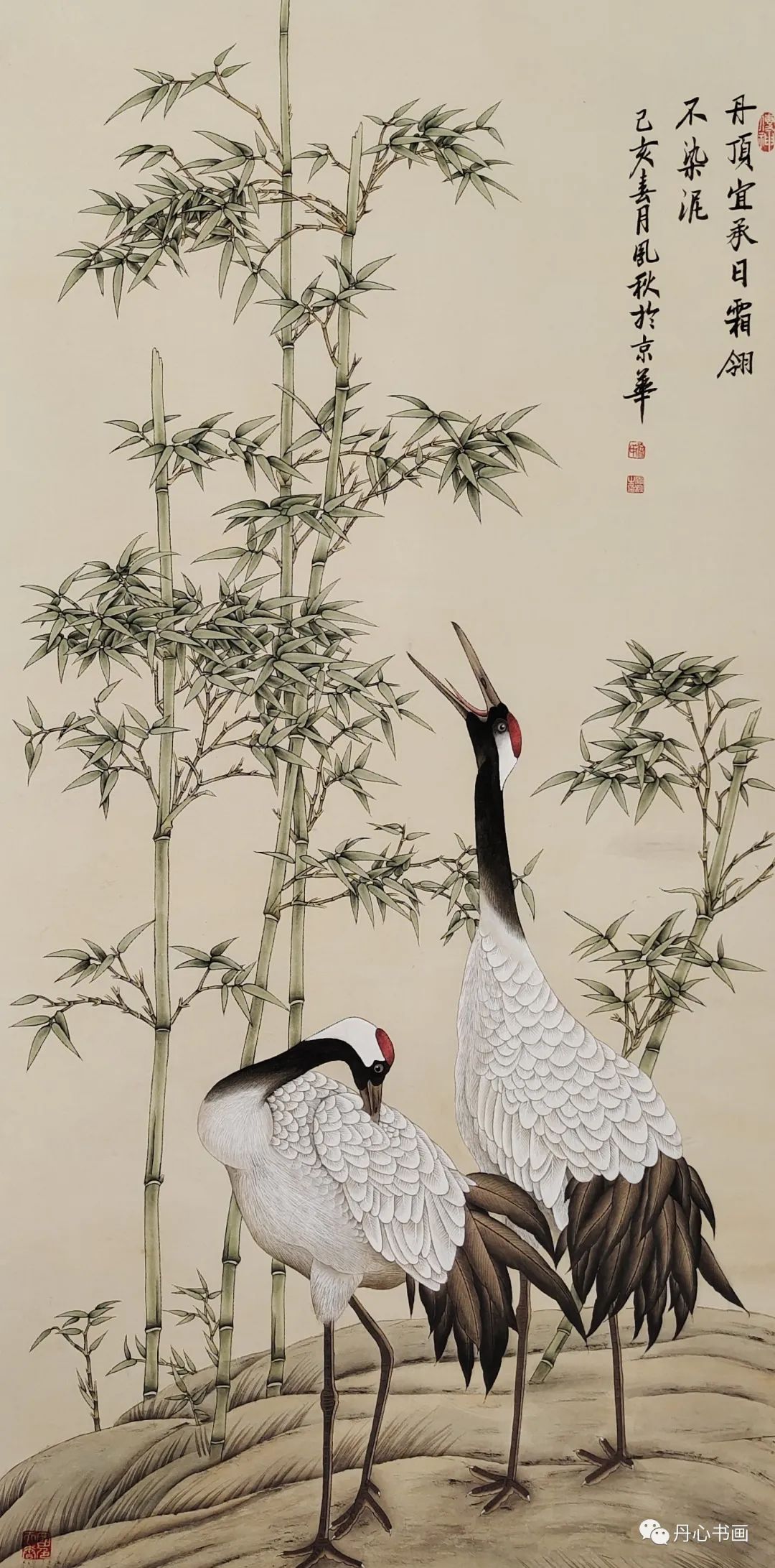 清新恬雅，意趣隽永｜工笔画家徐凤秋