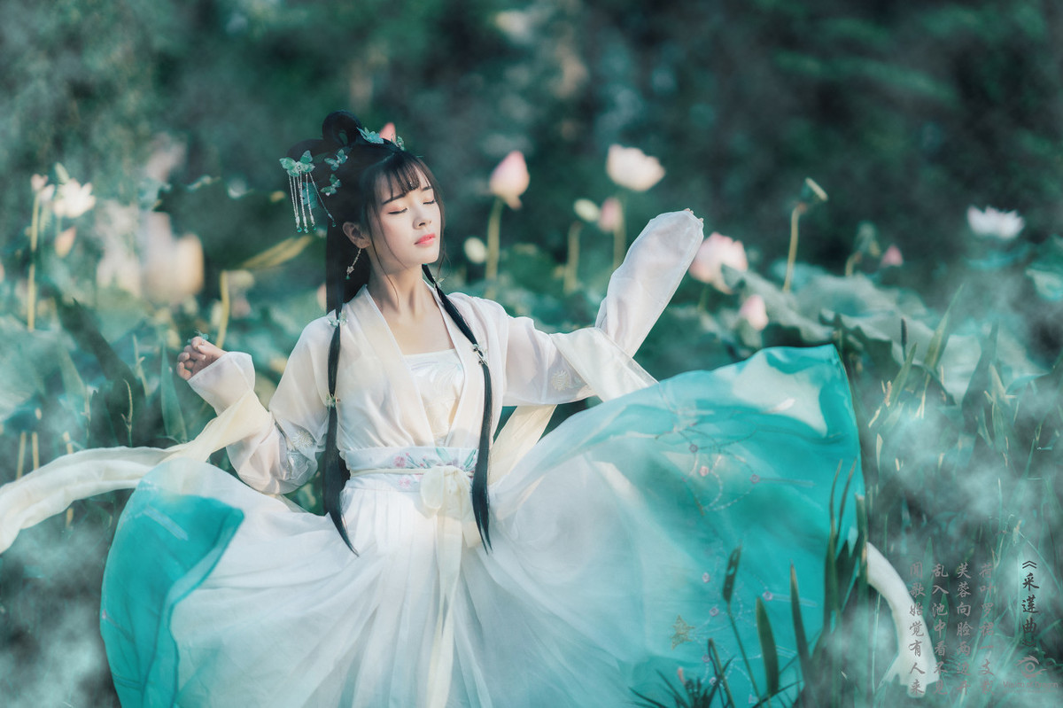水调歌头明月几时有运用的手法,次韵水调歌头如何填词