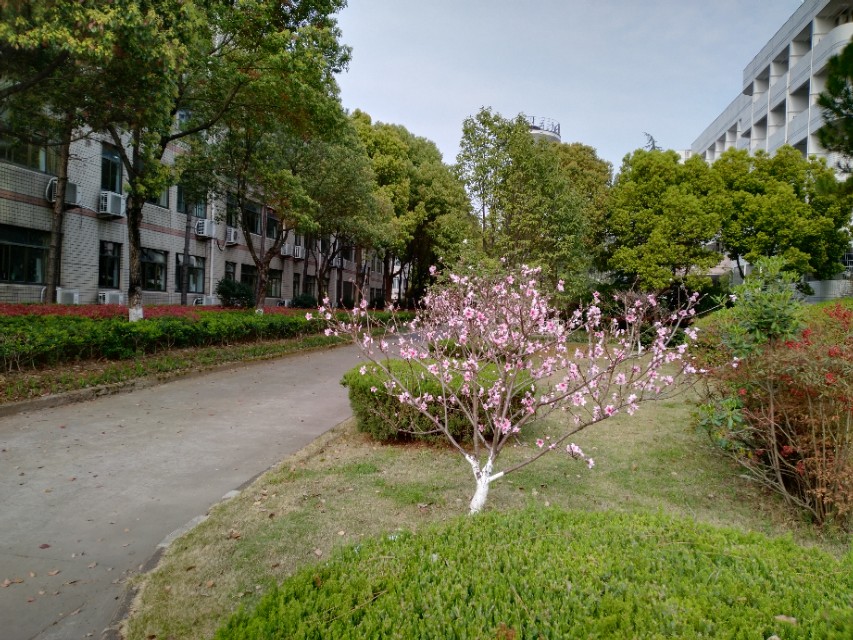 赤壁赋全文讲解得最好,赤壁赋全文解析视频