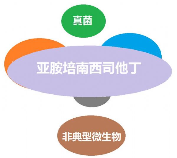 看图“话”抗菌谱，赶紧收藏